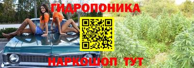 гашик Краснокаменск