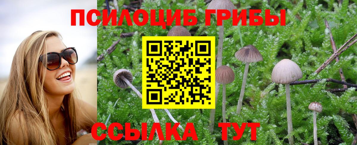 Зеленодольск  Галлюциногенные грибы прущие грибы  Вход с VPN 