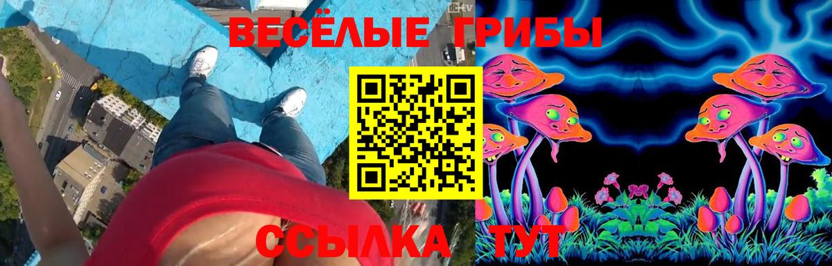 Галлюциногенные грибы ЛСД Зеленодольск